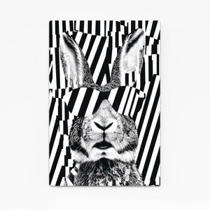 Cool Bunny Art