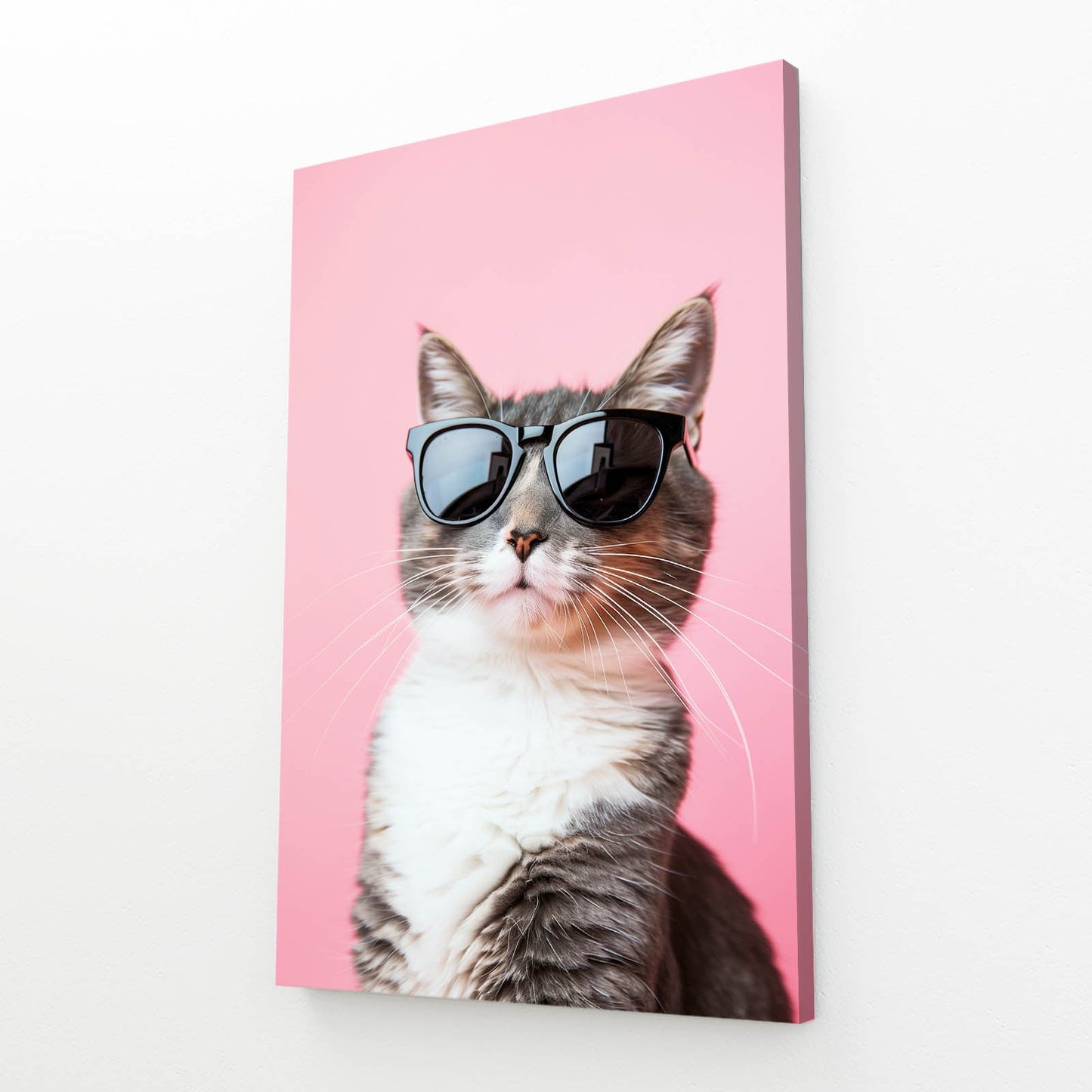 Cool Shades Cat Wall Art