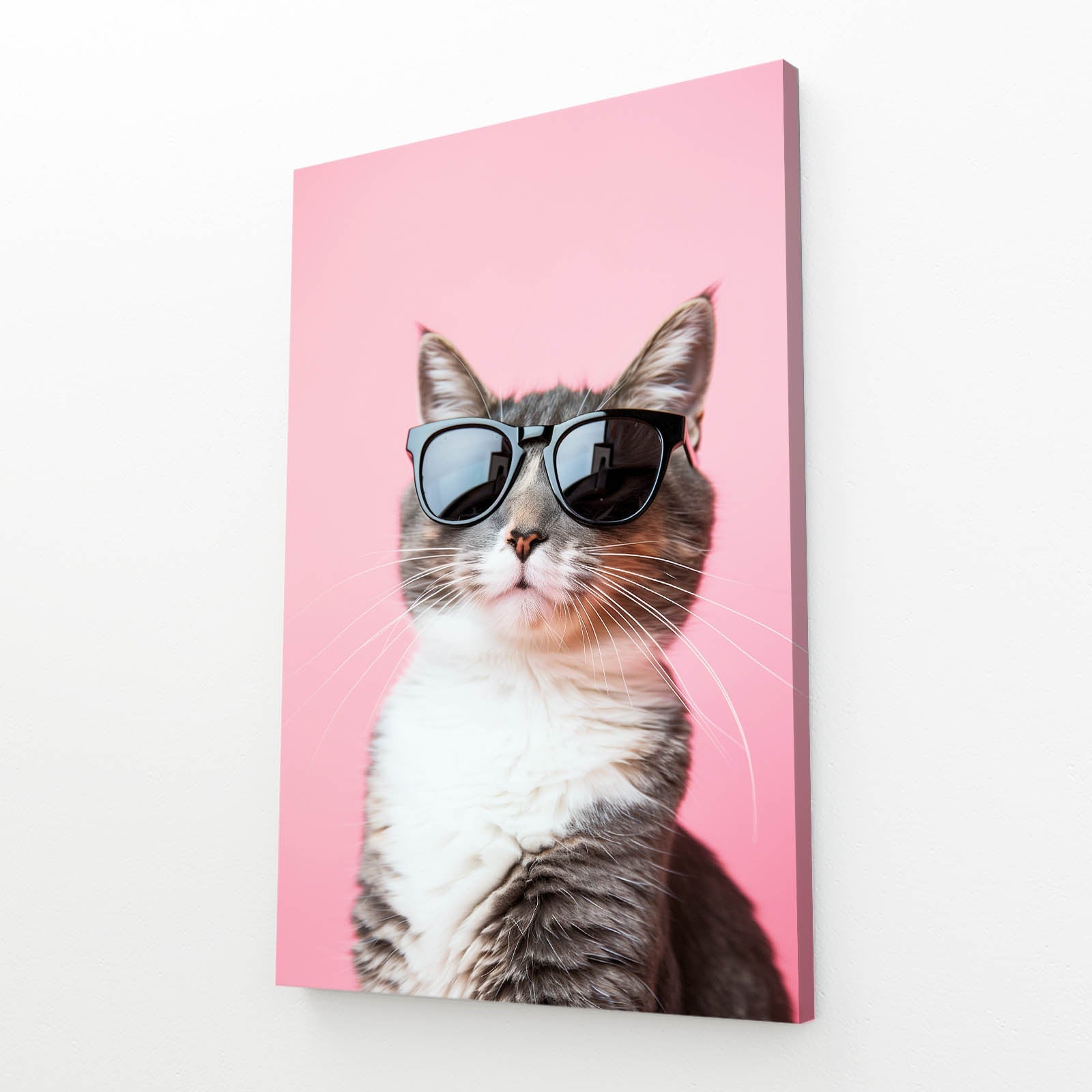 Cool Shades Cat Wall Art