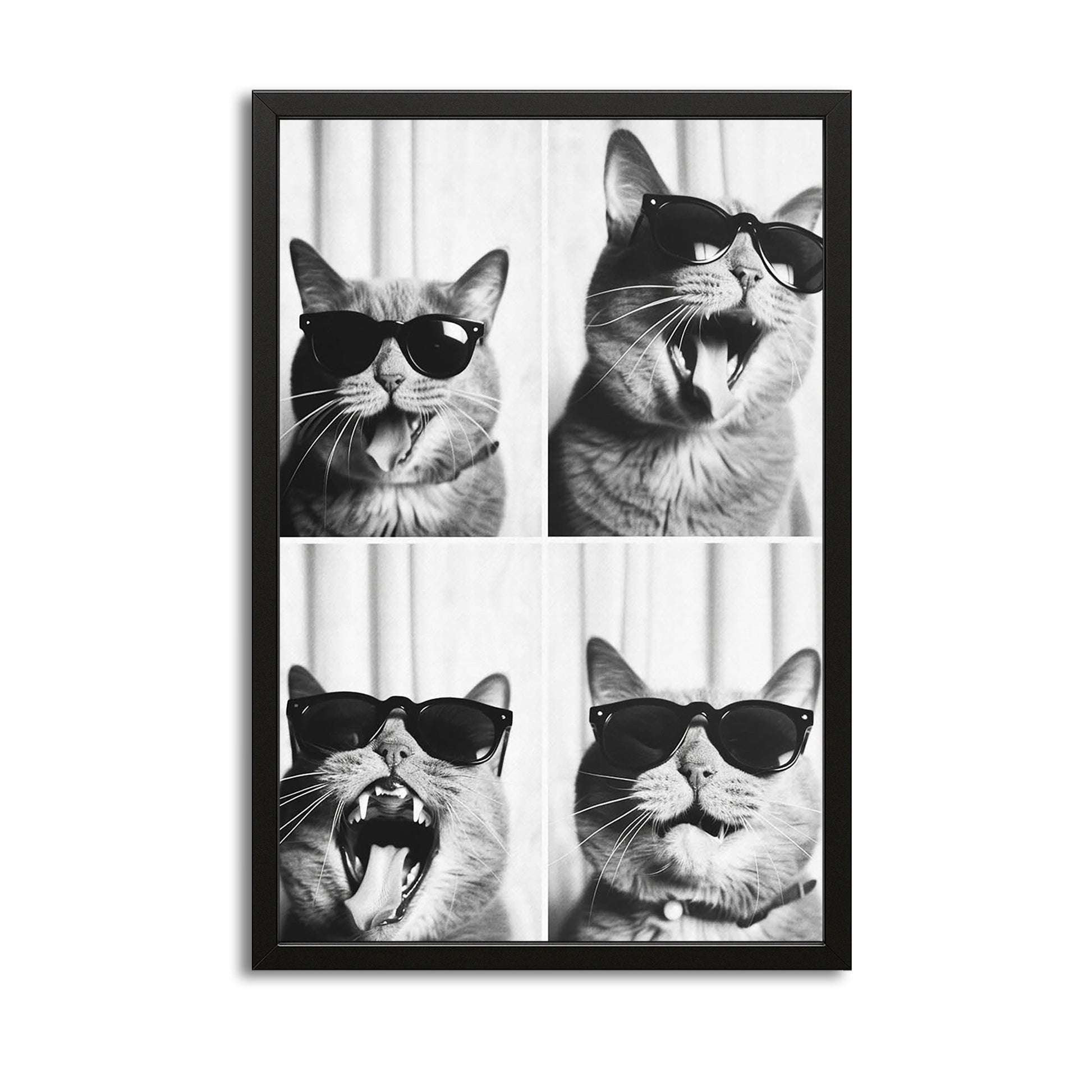 Cool Vibes Cat Wall Art – canvas print on white background