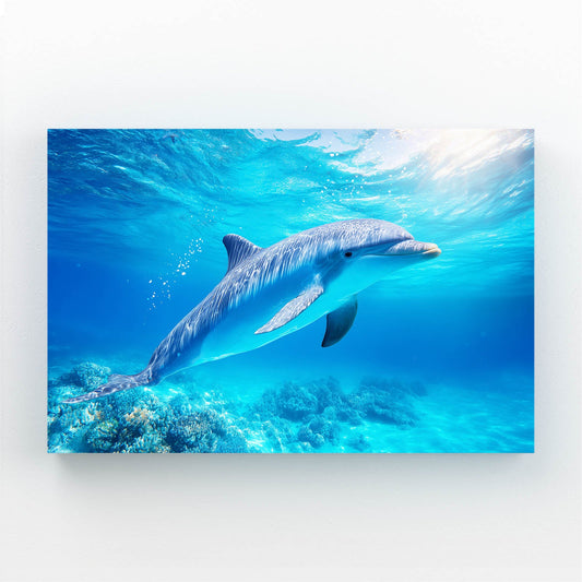 Coral Reef Glide Dolphin Print – dolphin gliding over a sunlit coral reef seafloor in vivid turquoise water
