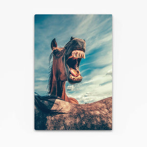 Crazy Horse Wall Art