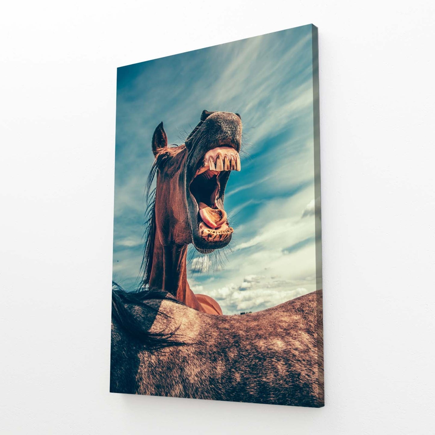 Crazy Horse Wall Art – angled canvas view on white background