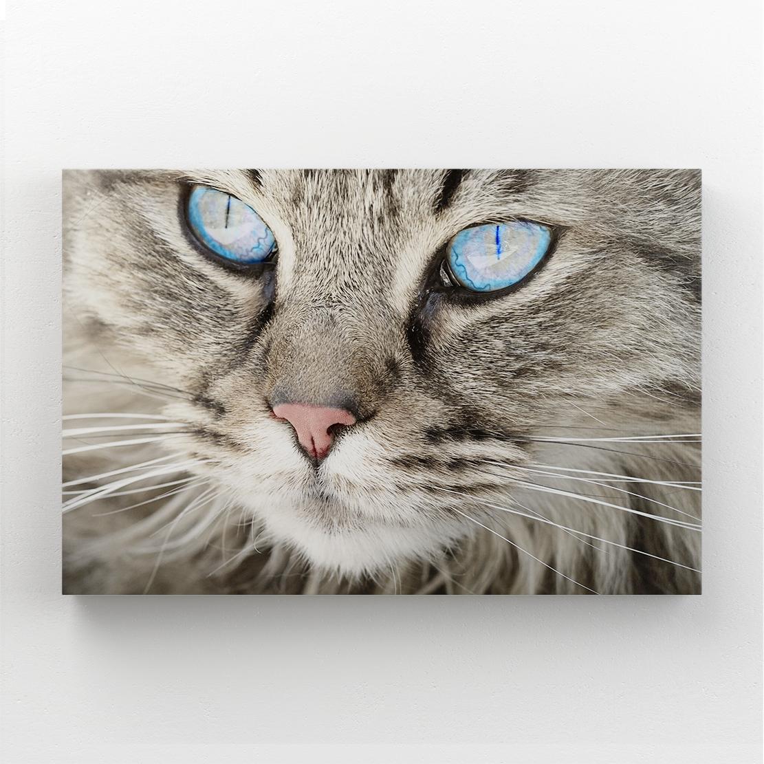 Crystal Eyes Cat Wall Art