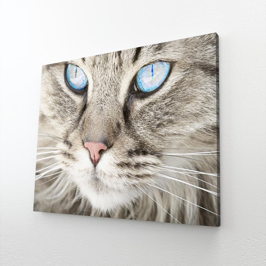 Crystal Eyes Cat Wall Art