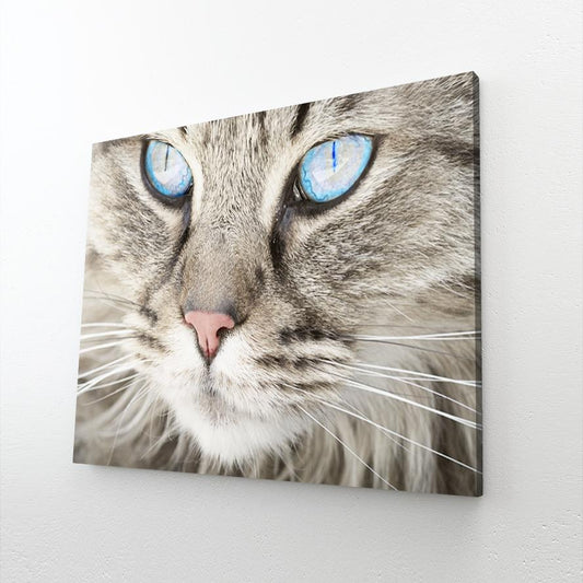 Crystal Eyes Cat Wall Art