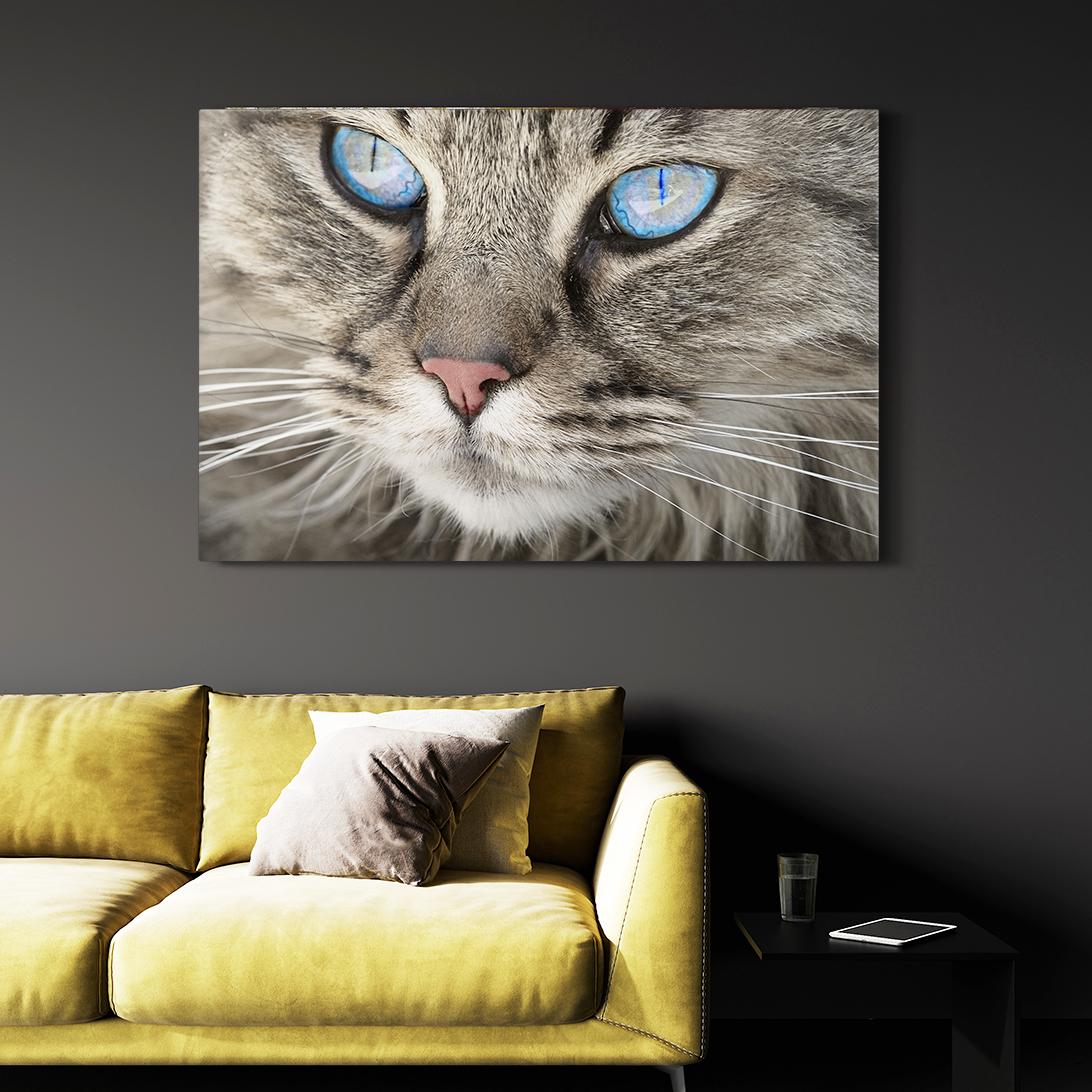 Crystal Eyes Cat Wall Art