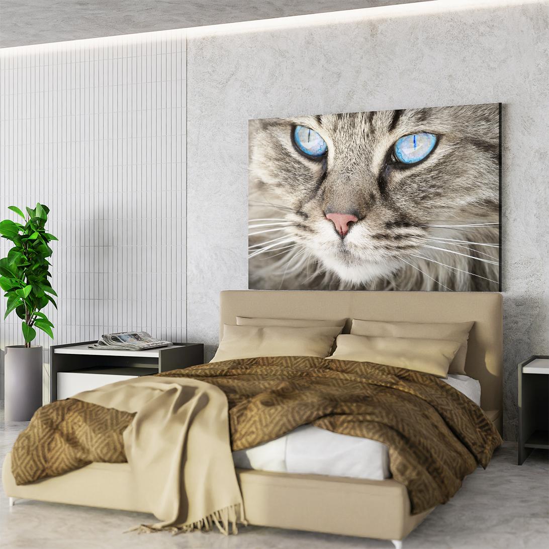 Crystal Eyes Cat Wall Art