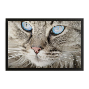 Crystal Eyes Cat Wall Art