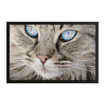 Crystal Eyes Cat Wall Art