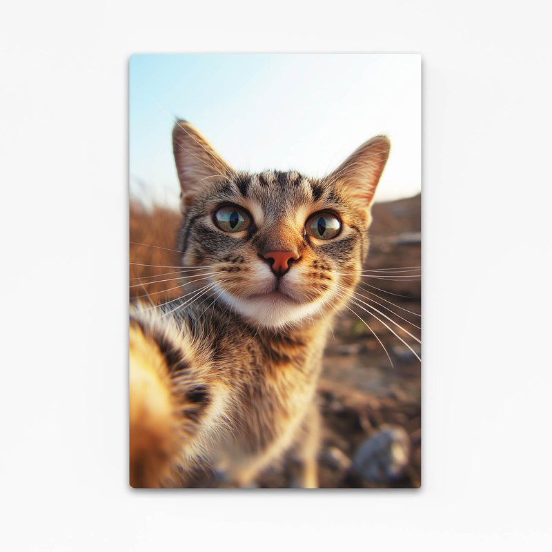 Curious Kitten Selfie Cat Art — photography canvas print, angled canvas view on white background