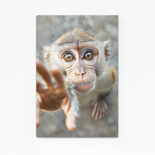 Curious Reaching Hand Monkey Wall Decor – curious reaching hand monkey canvas print