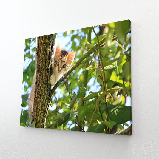 Cute Cat On Tree Wall Art