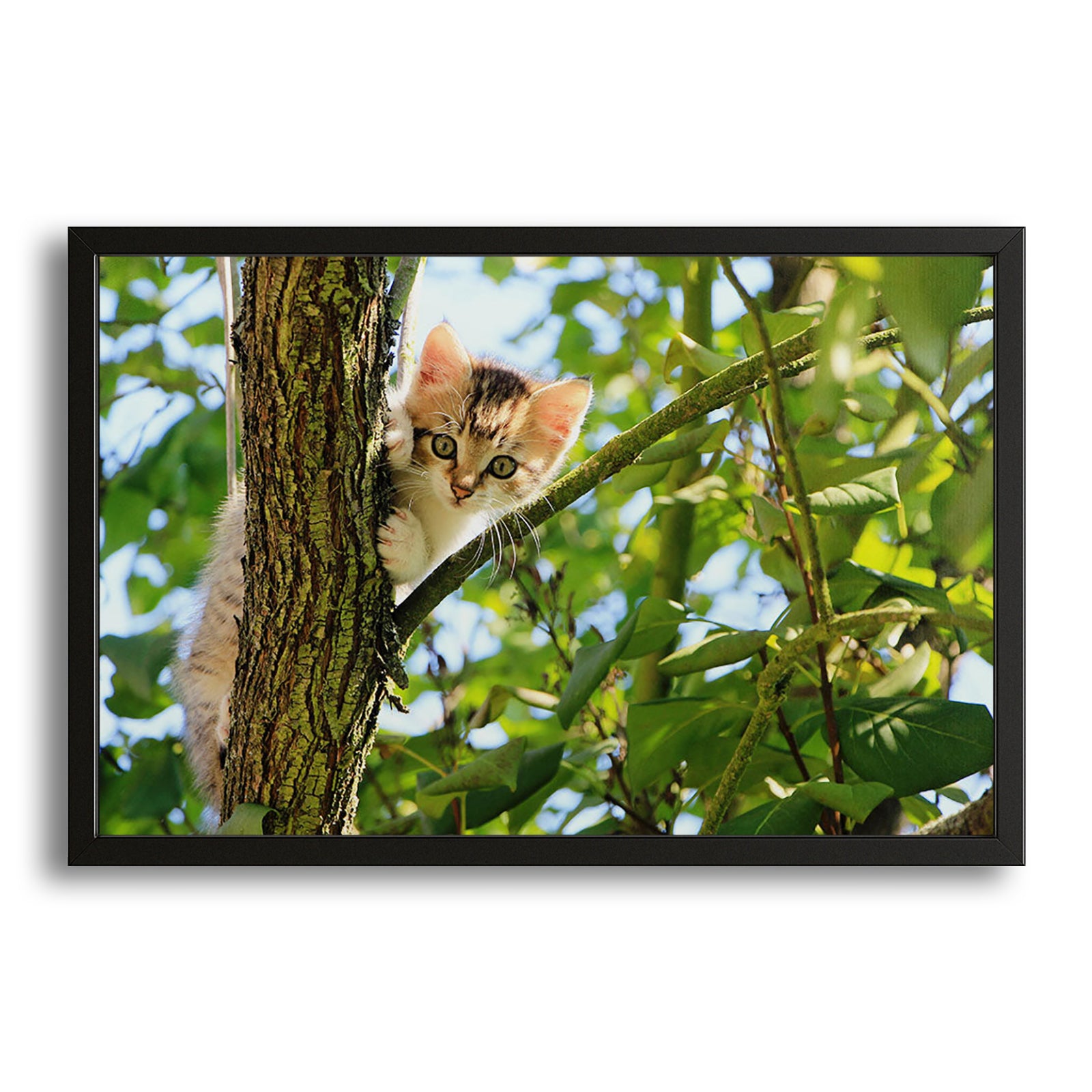 Cute Cat On Tree Wall Art – canvas print on white background