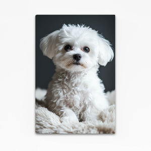 Cute Dog Art