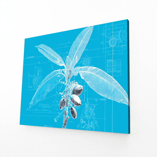 Cyanotype Fruit Sprig Canvas – angled canvas view on white background