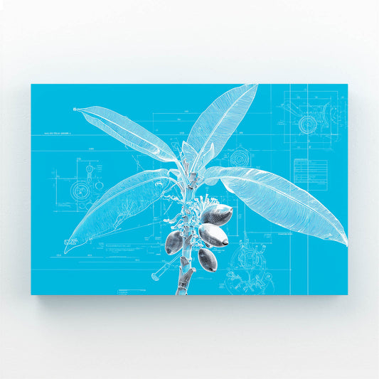 Cyanotype Fruit Sprig Canvas – cyanotype fruit sprig fruit canvas print