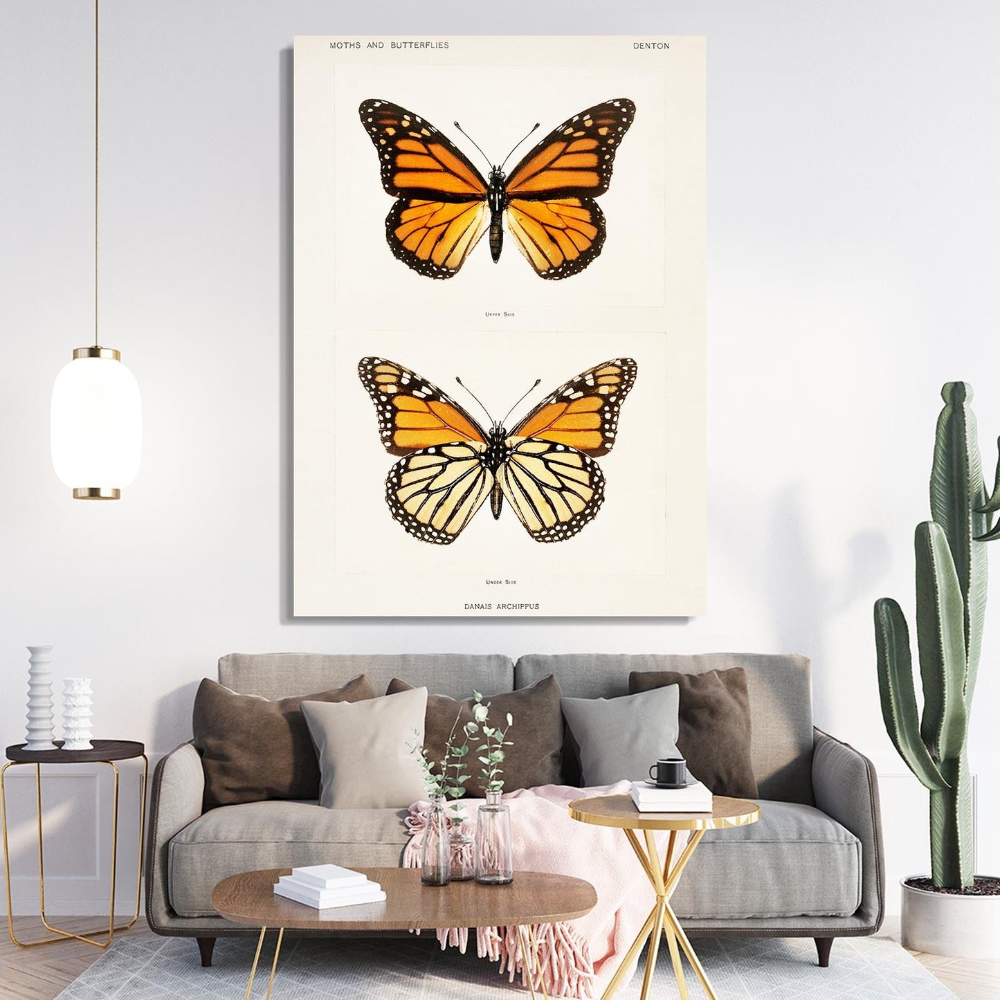 Danaus Butterfly Wall Art