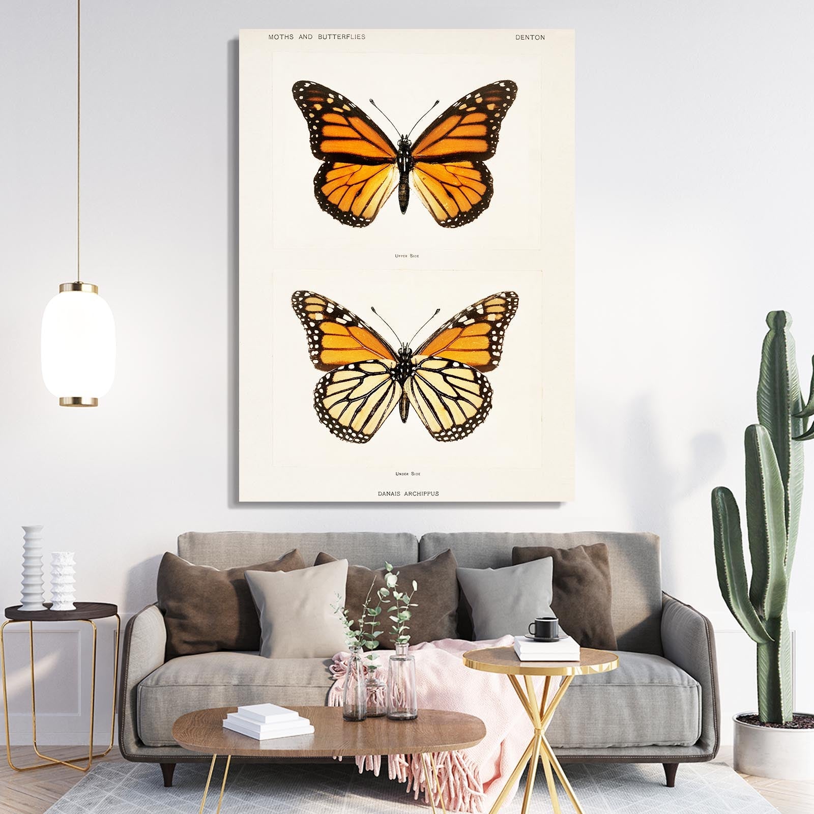Danaus Butterfly Wall Art