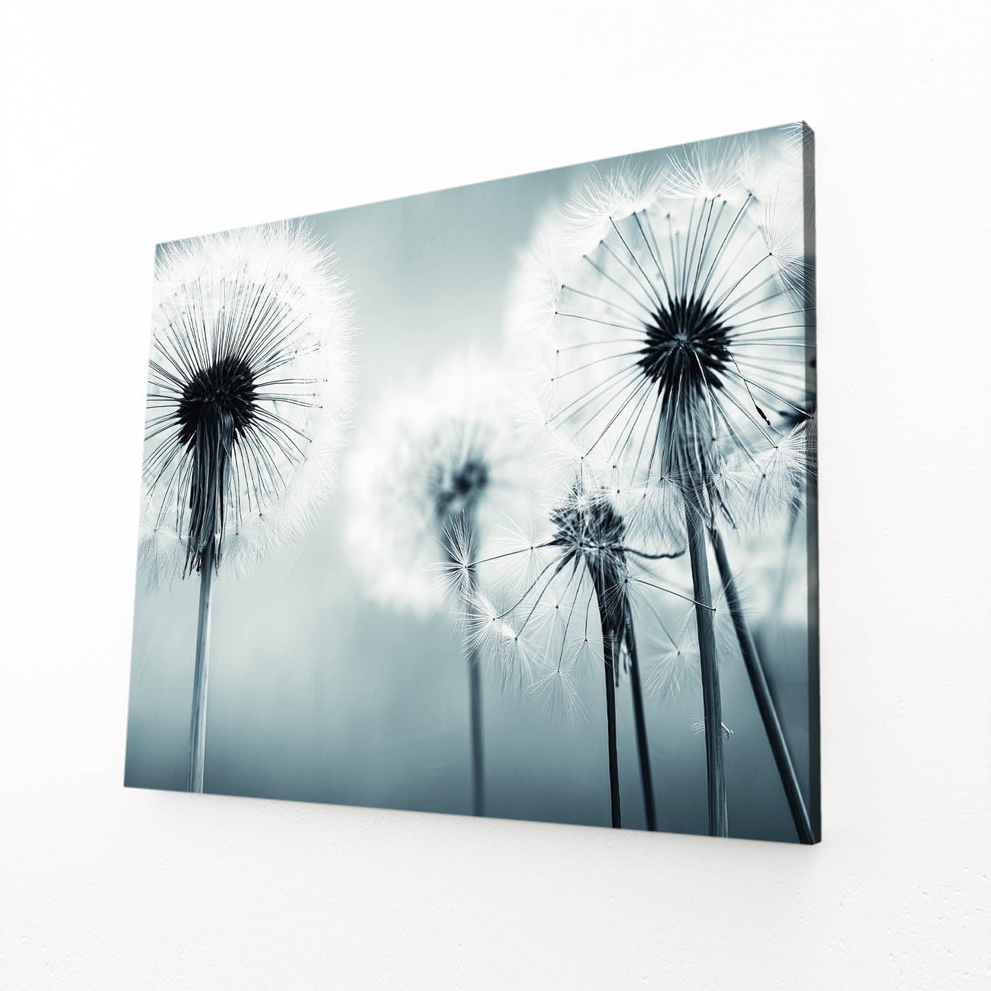 Dandelion Macro Photography Wall Art – canvas print, view 2