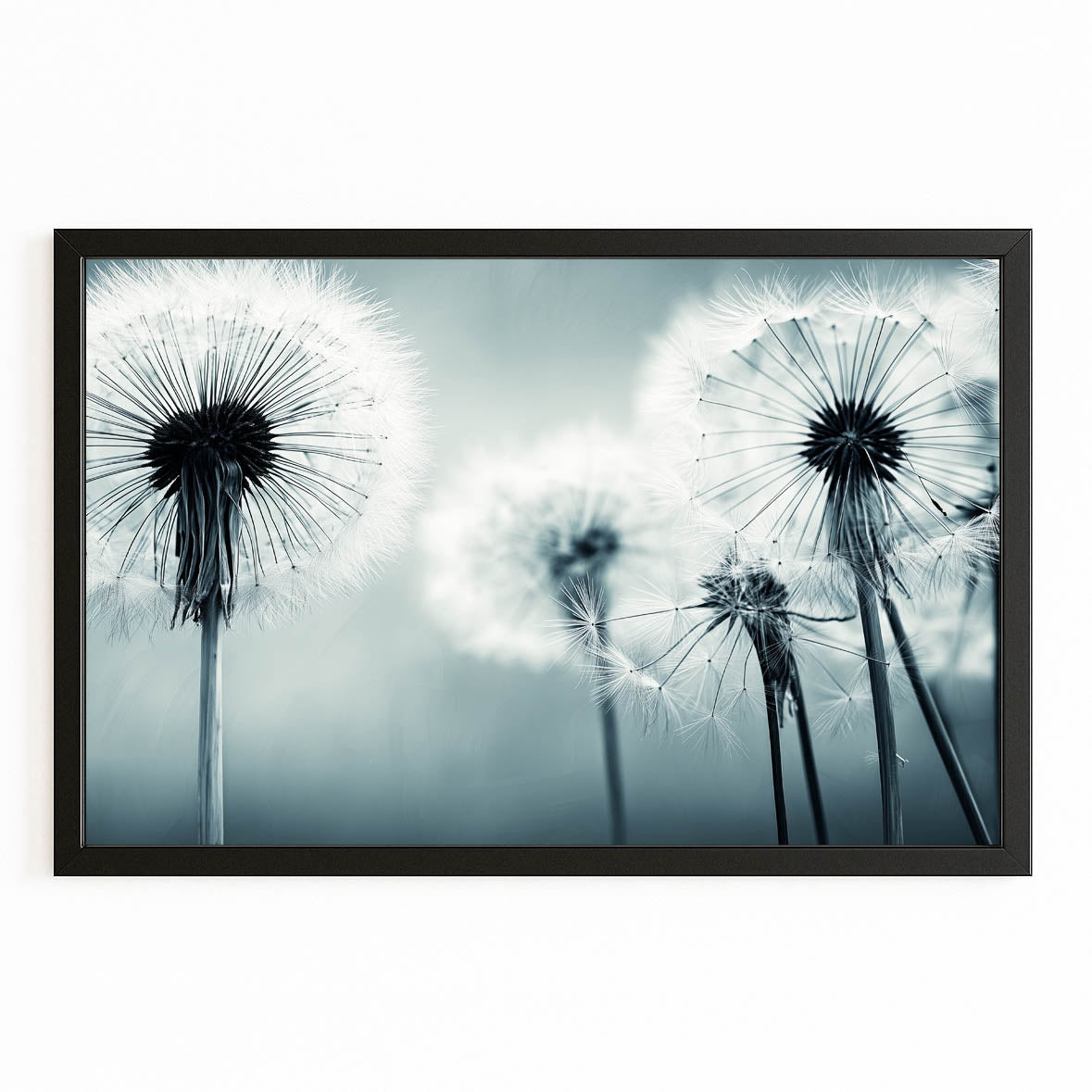 Dandelion Macro Photography Wall Art — photography canvas print, with Premium Black frame on white background