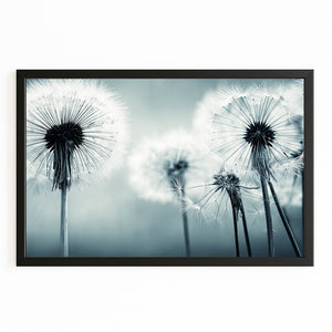 Dandelion Macro Photography Wall Art