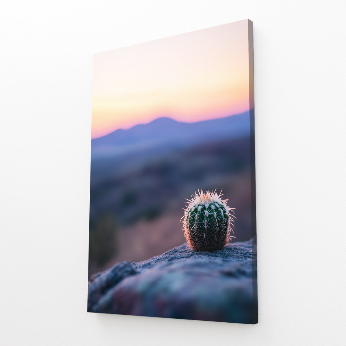 Dawn Barrel Bloom Cactus Wall Art — photography canvas print, angled canvas view on white background