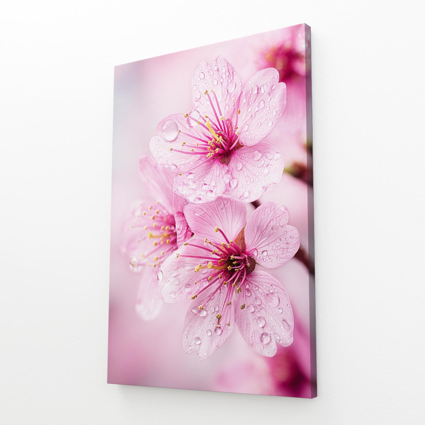 Dew Kissed Petals Cherry Blossom Wall Art – angled canvas view on white background
