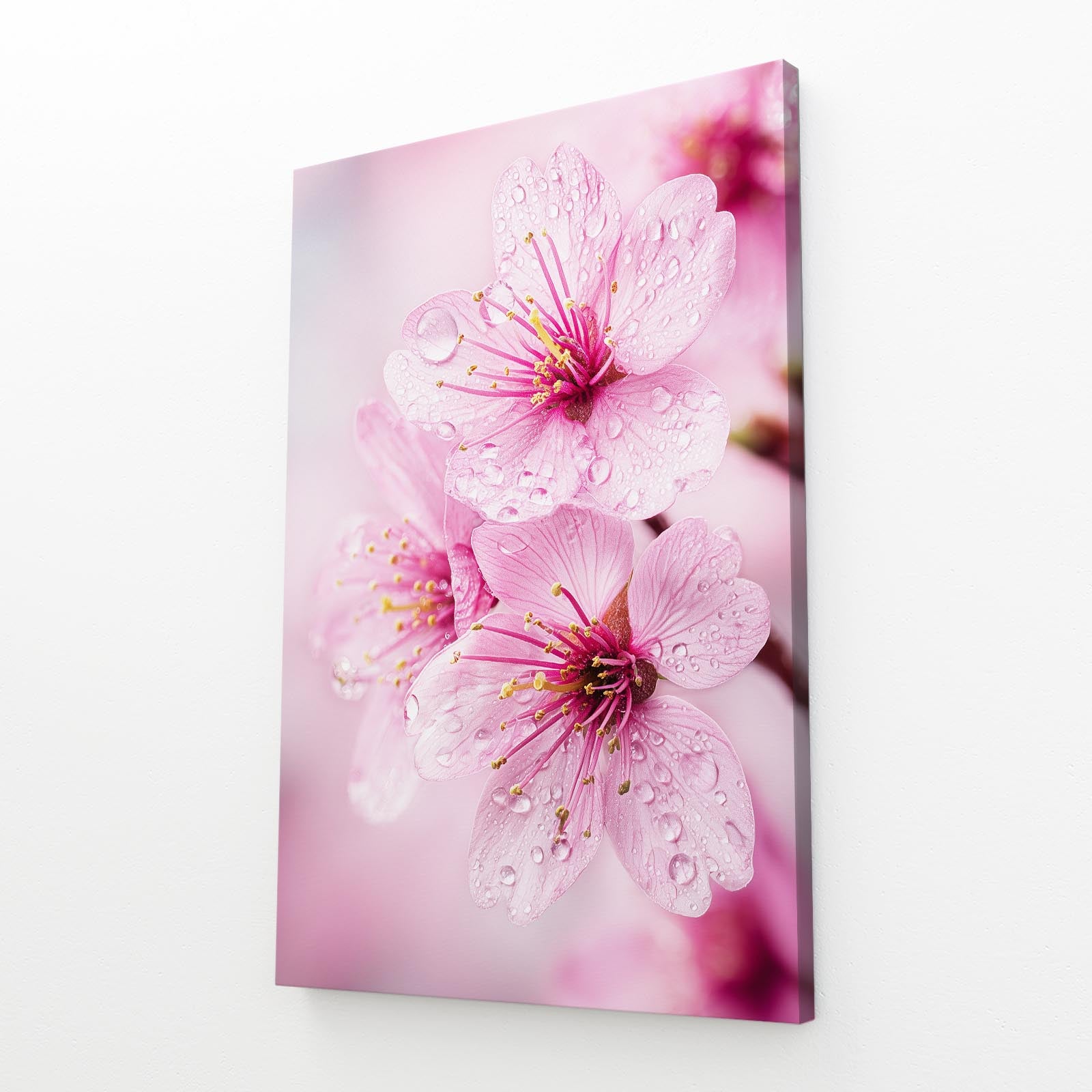 Dew Kissed Petals Cherry Blossom Wall Art – angled canvas view on white background
