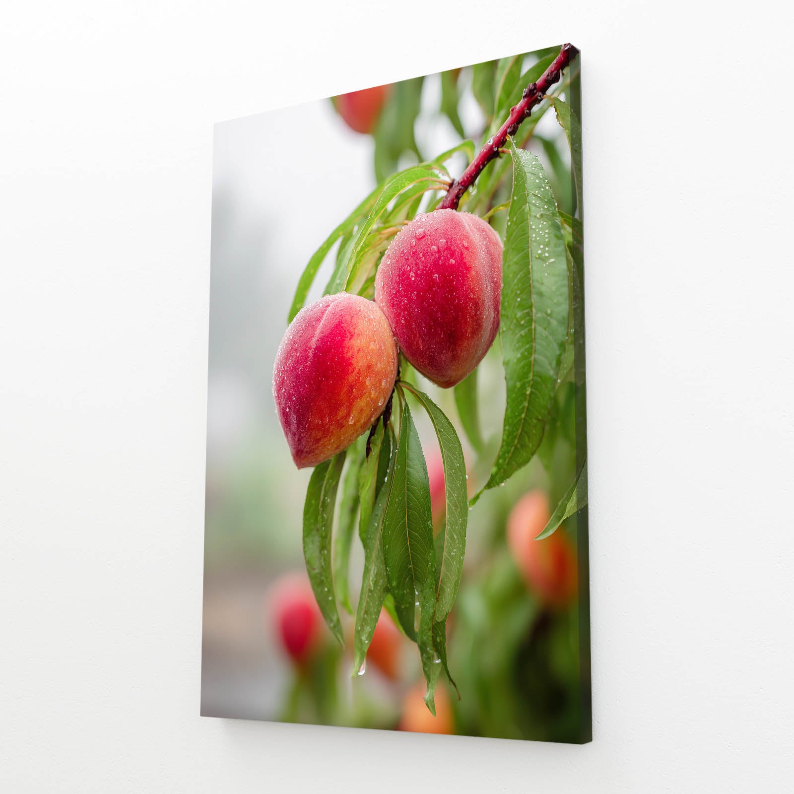 Dewy Fruit Branch Wall Decor – angled canvas view on white background