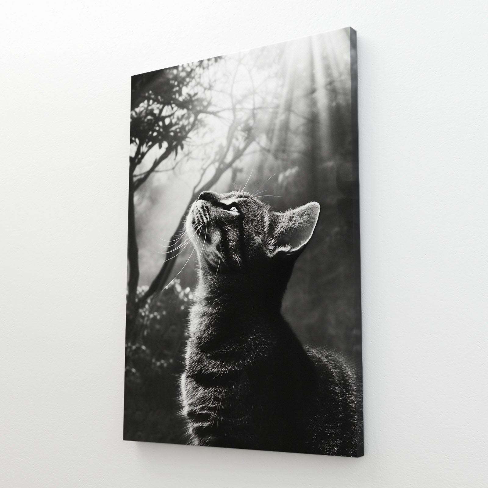 Divine Light Cat Art