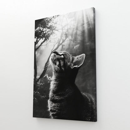Divine Light Cat Art