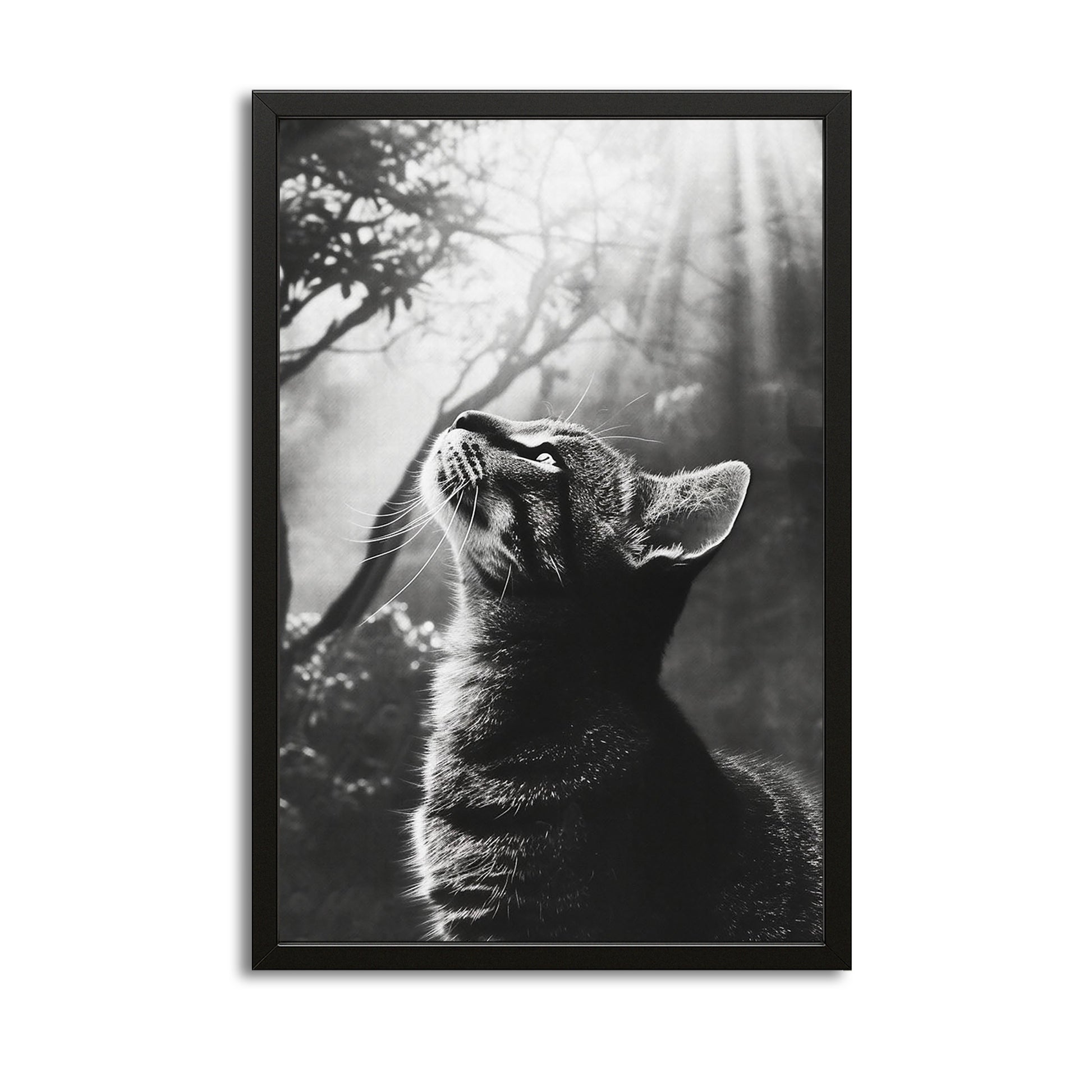 Divine Light Cat Art – canvas print on white background