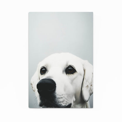 Dog Face Wall Art