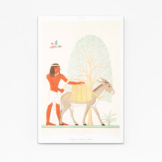 Donkey Herder Illustration Egyptian Wall Decor – angled canvas view on white background