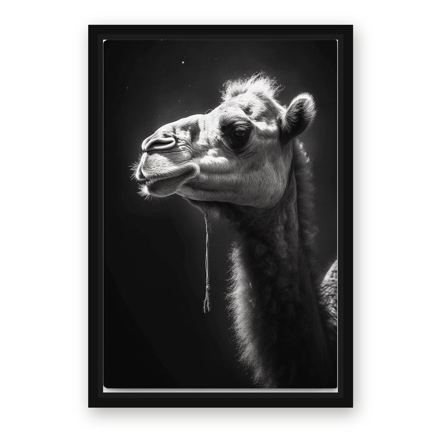 Dramatic Camel Photography Art – with Premium Black wood frame