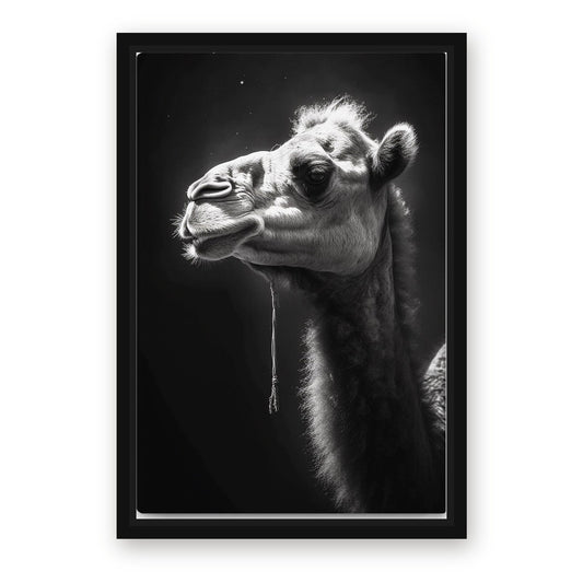 Dramatic Camel Photography Art – with Premium Black wood frame