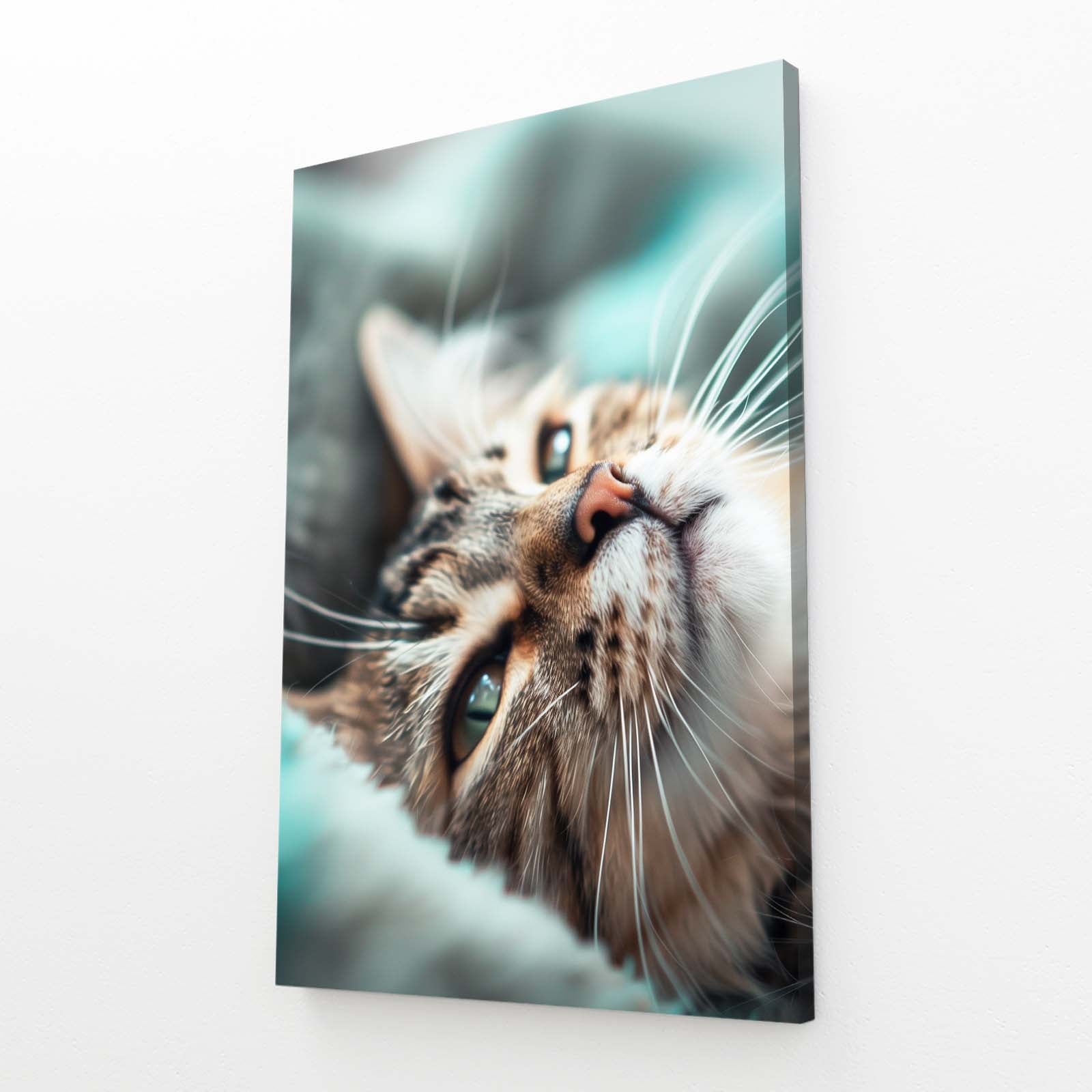 Dreamy Eyes Close Up Cat Art