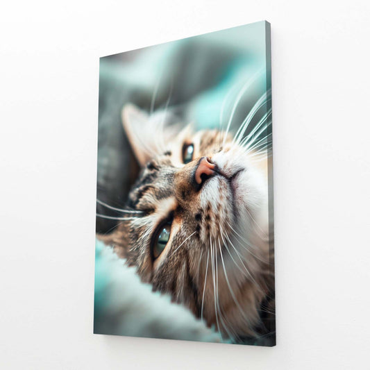 Dreamy Eyes Close Up Cat Art