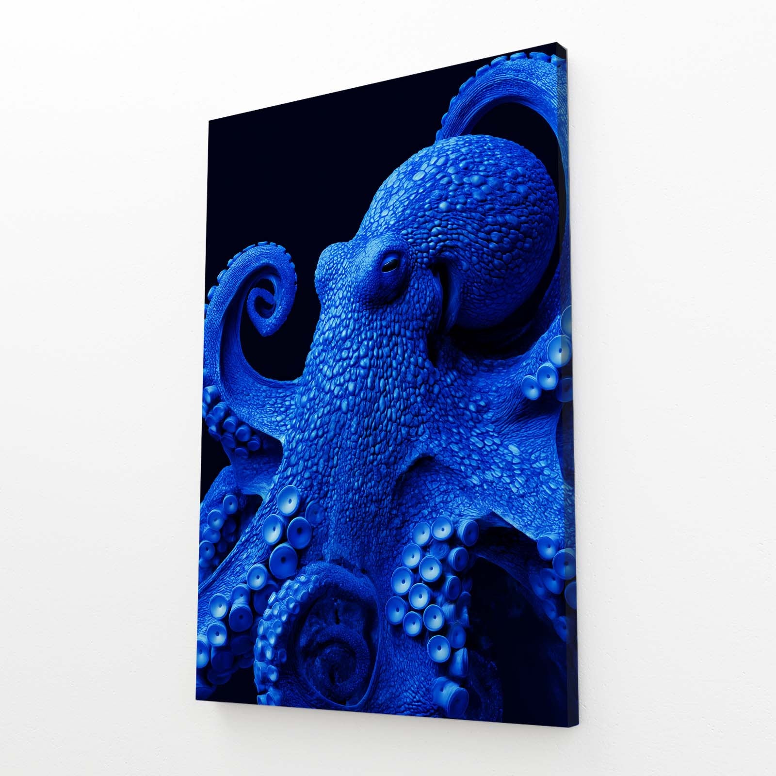 Electric Blue Study Octopus Wall Art – angled canvas view on white background