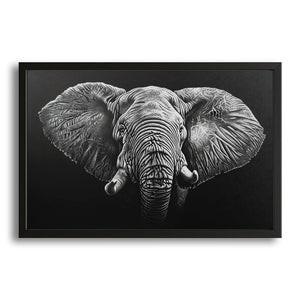 Elephant Art Black And White