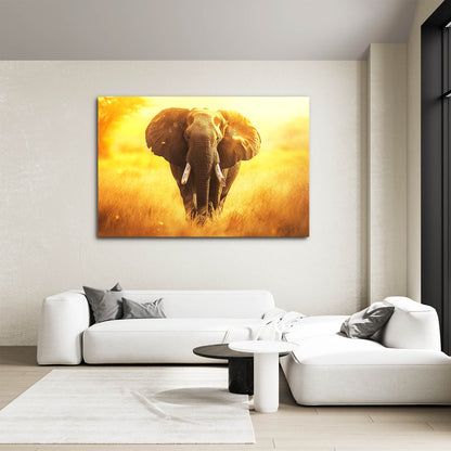 Elephant Photo Wall Art