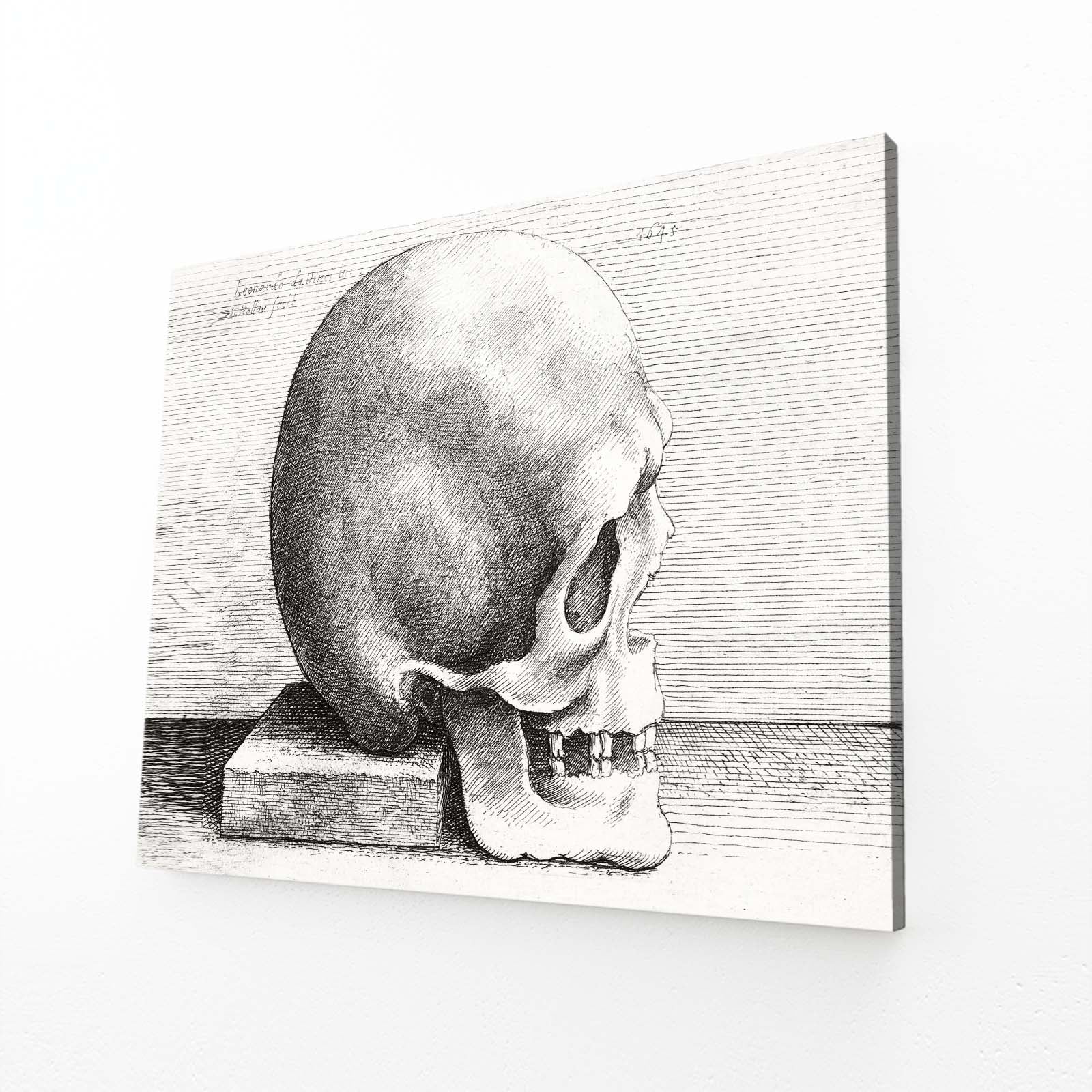 Engraved Skull Study Da Vinci Canvas Art – engraved skull study da vinci canvas print