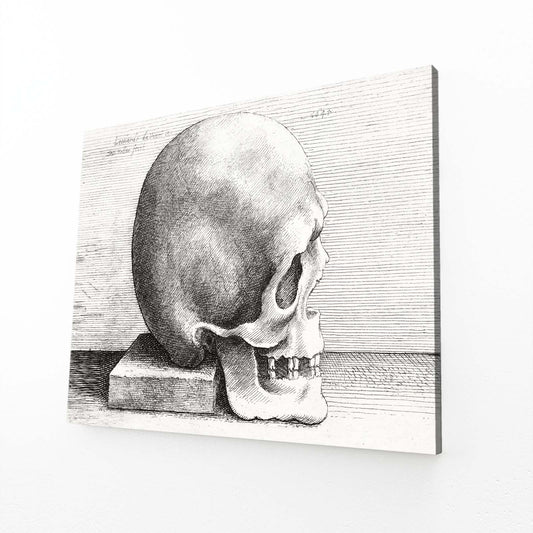 Engraved Skull Study Da Vinci Canvas Art — vintage canvas print, angled canvas view on white background
