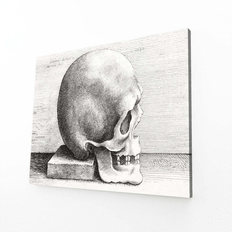 Engraved Skull Study Da Vinci Canvas Art – engraved skull study da vinci canvas print