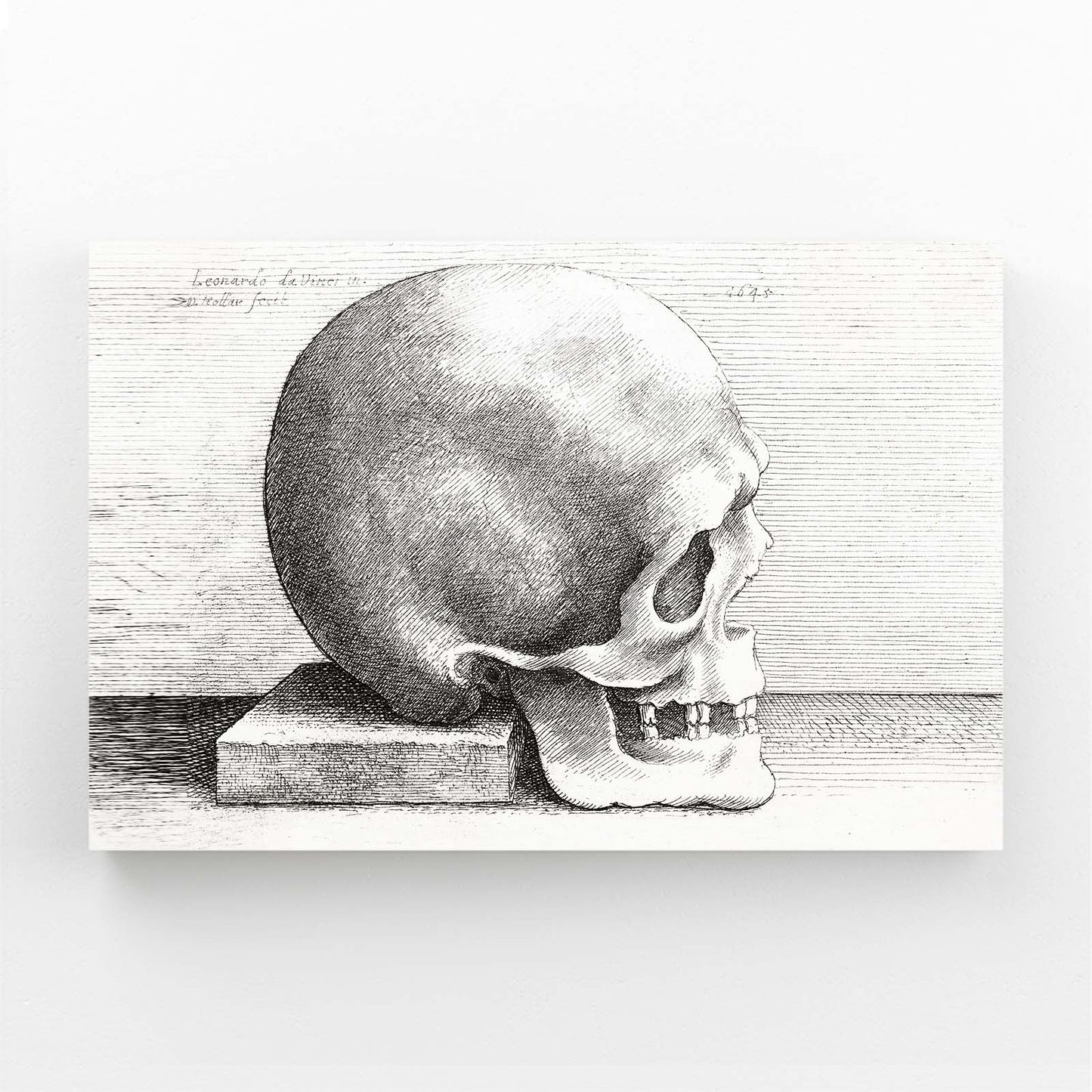 Engraved Skull Study Da Vinci Canvas Art – angled canvas view on white background