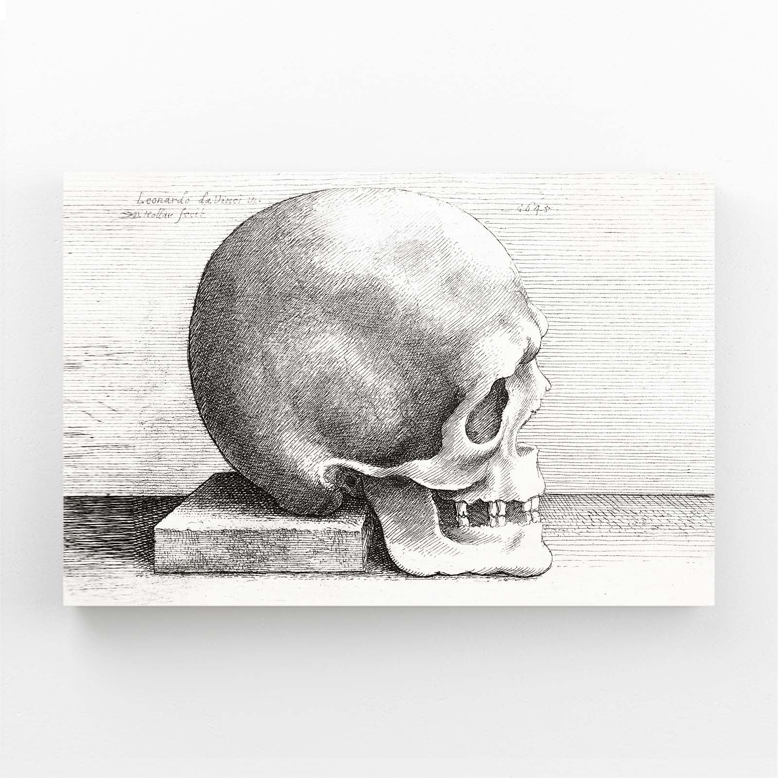 Engraved Skull Study Da Vinci Canvas Art – angled canvas view on white background
