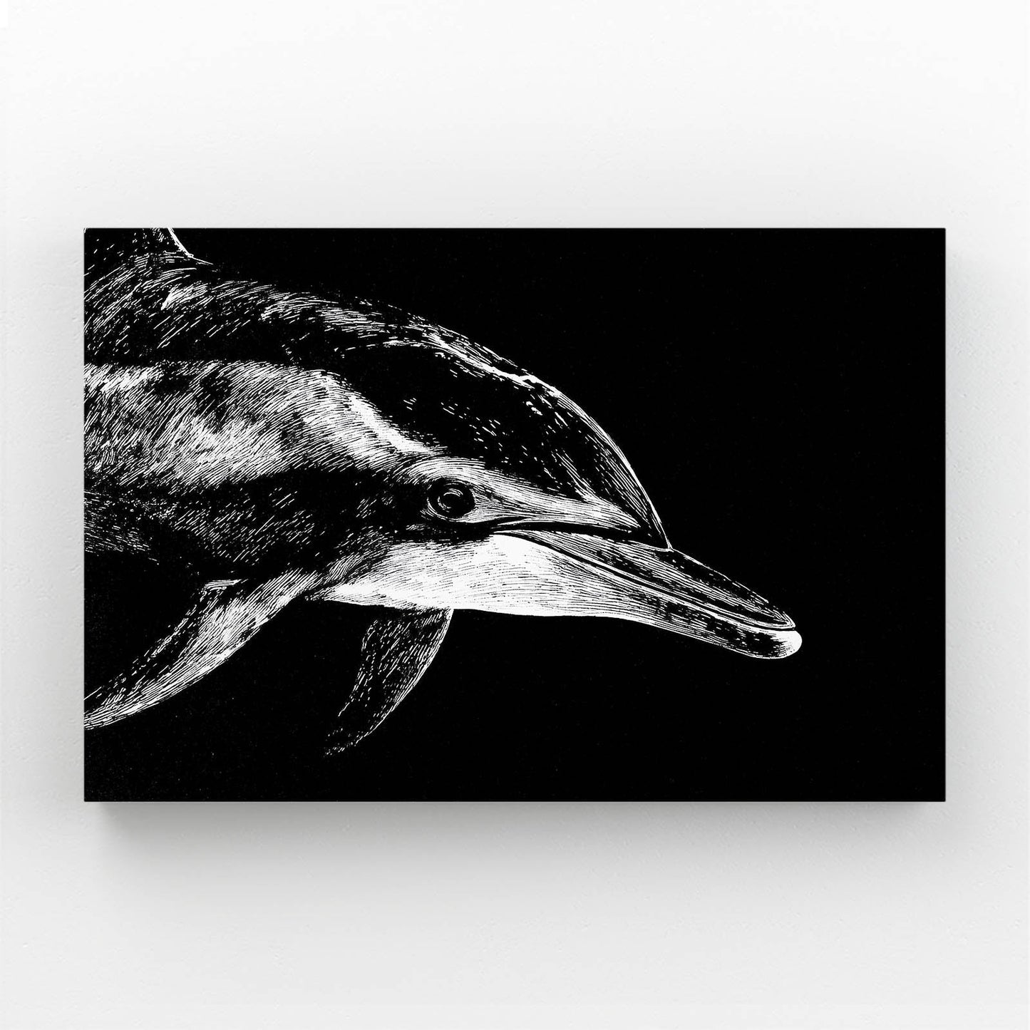 Etched Shadow Dolphin Art – dolphin head emerging from black in fine white etched scratchboard lines