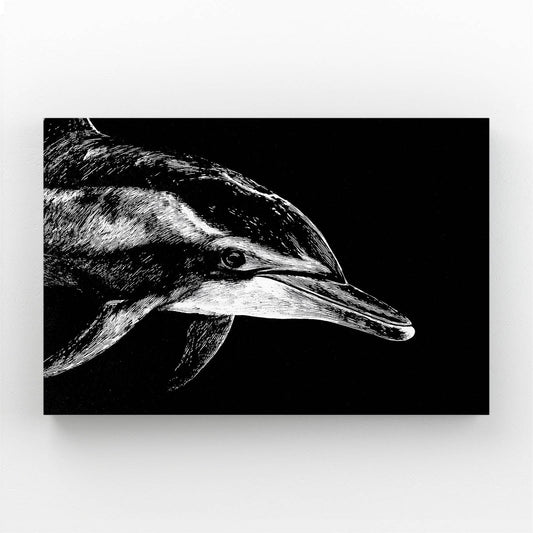 Etched Shadow Dolphin Art – dolphin head emerging from black in fine white etched scratchboard lines