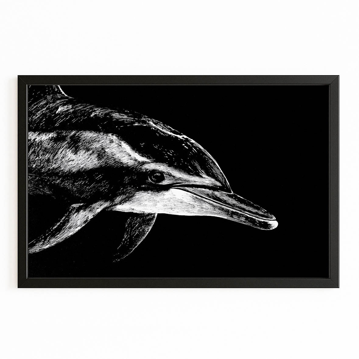 Etched Shadow Dolphin Art – with Premium Black wood frame on white background